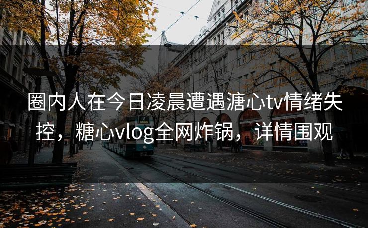 圈内人在今日凌晨遭遇溏心tv情绪失控，糖心vlog全网炸锅，详情围观