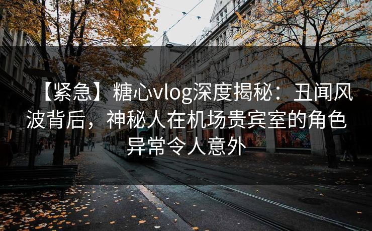 【紧急】糖心vlog深度揭秘:丑闻风波背后,神秘人在机场贵宾室的角色异常令人意外 【紧急】糖心vlog深度揭秘:丑闻风波背后,神秘人在机场贵宾室的角色异常令人意外