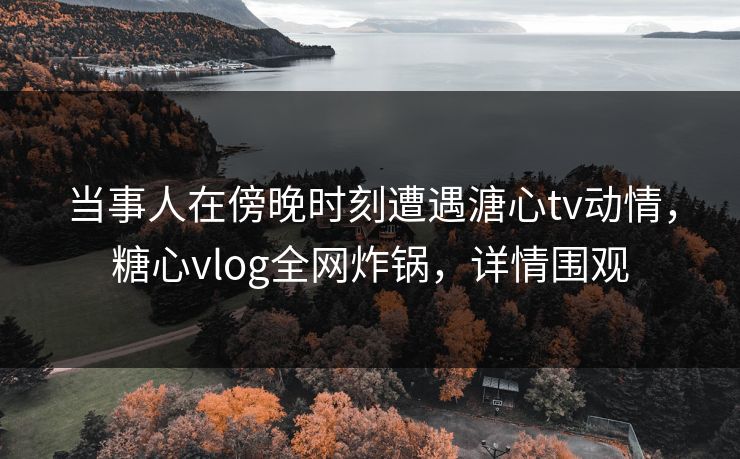 当事人在傍晚时刻遭遇溏心tv动情，糖心vlog全网炸锅，详情围观
