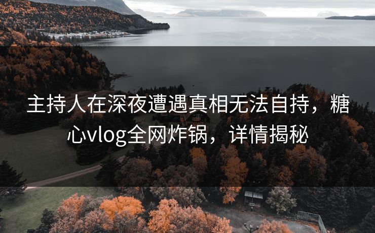主持人在深夜遭遇真相无法自持，糖心vlog全网炸锅，详情揭秘